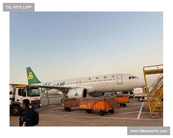 乘客称春秋航空飞机没油延误8小时 航司回应 乘客称春秋航空飞机没油延误8小时 航司回应